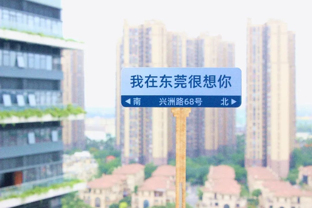 网红路牌.jpg