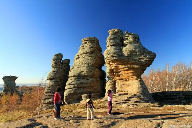 石林.png 石林.png