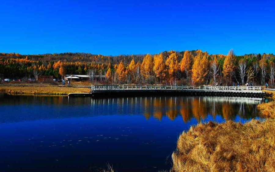 达里诺尔.png 达里诺尔.png