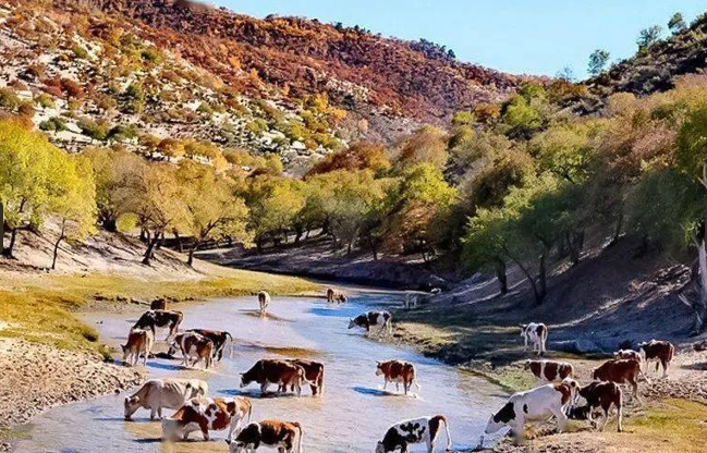 黄岗梁01.png 黄岗梁01.png