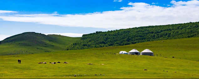 贡格尔.png 贡格尔.png