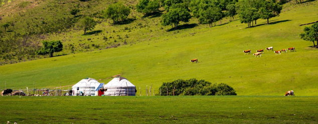 贡格尔01.png 贡格尔01.png