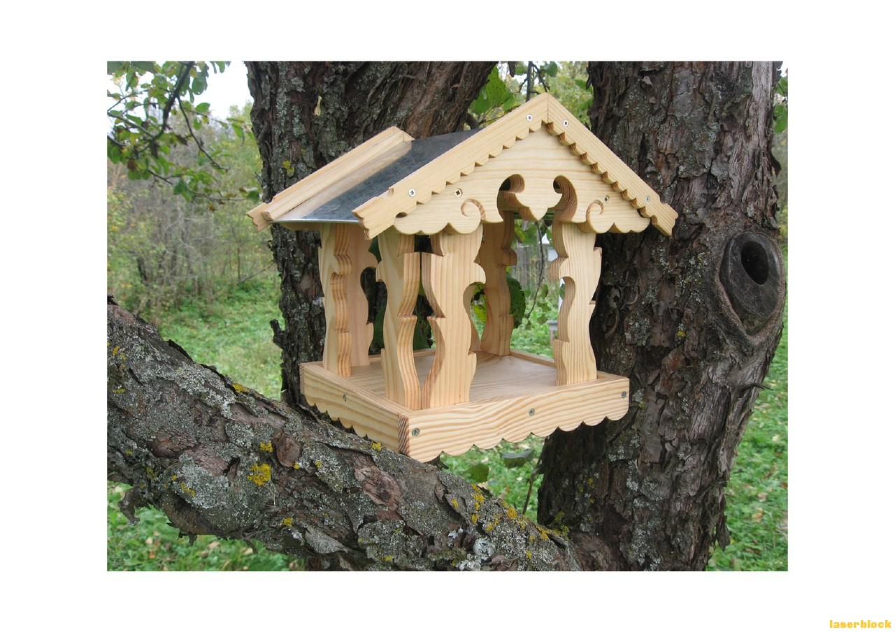 喂鸟器.jpg 喂鸟器.jpg