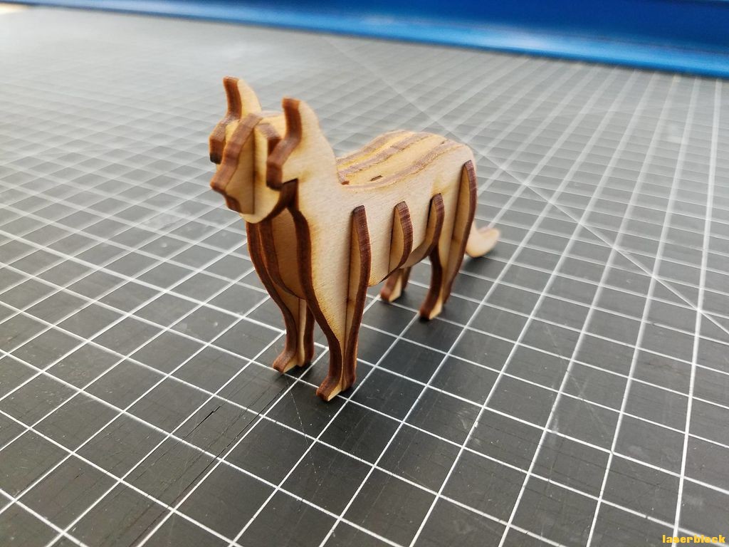 猫①.jpg 猫①.jpg