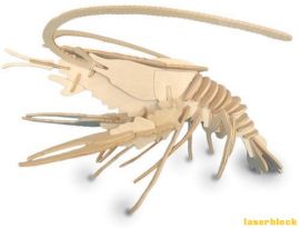 激光切割设计图丨龙虾