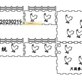 兰花